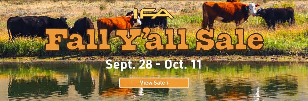 IFA