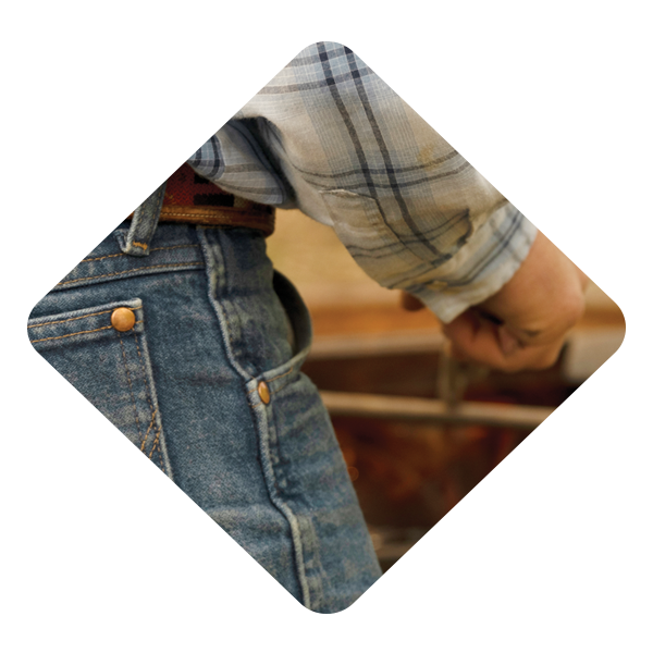 Clothing