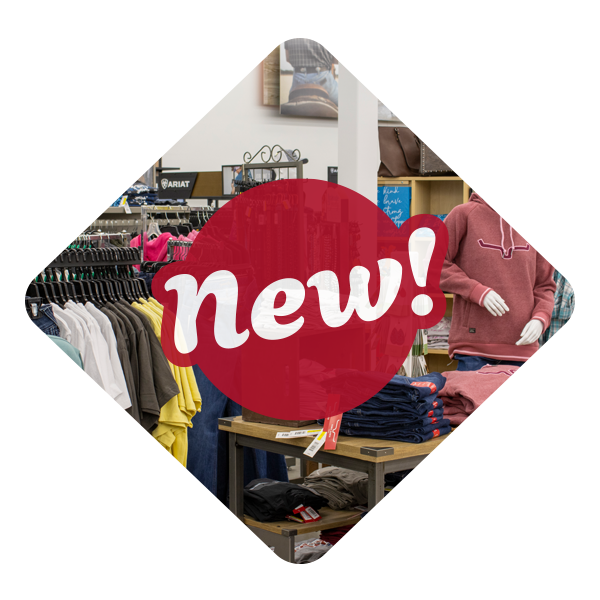 New Arrivals