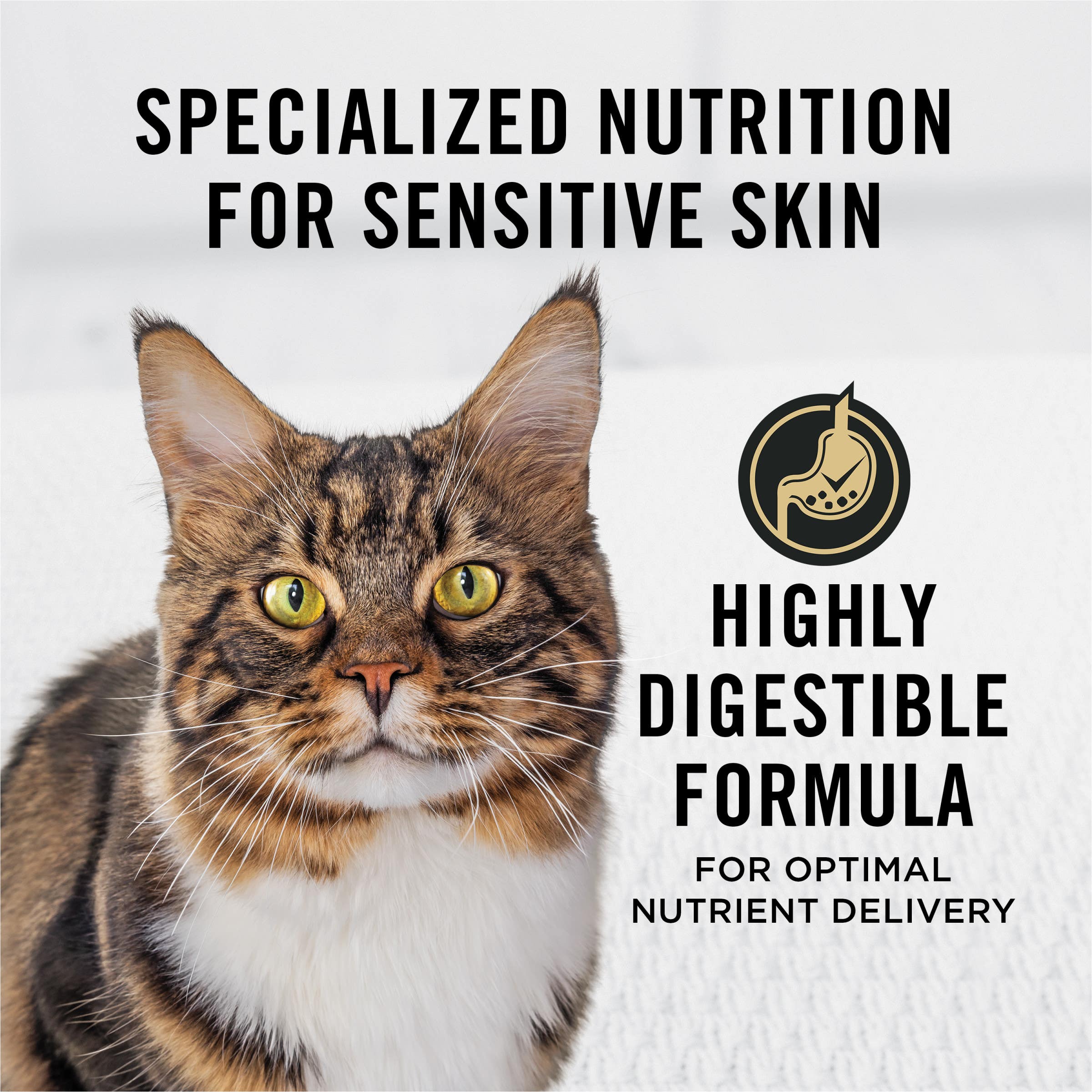 Pro Plan Adult Sensitive Skin & Stomach Lamb & Rice Formula Dry Cat Food, 7 lb Bag