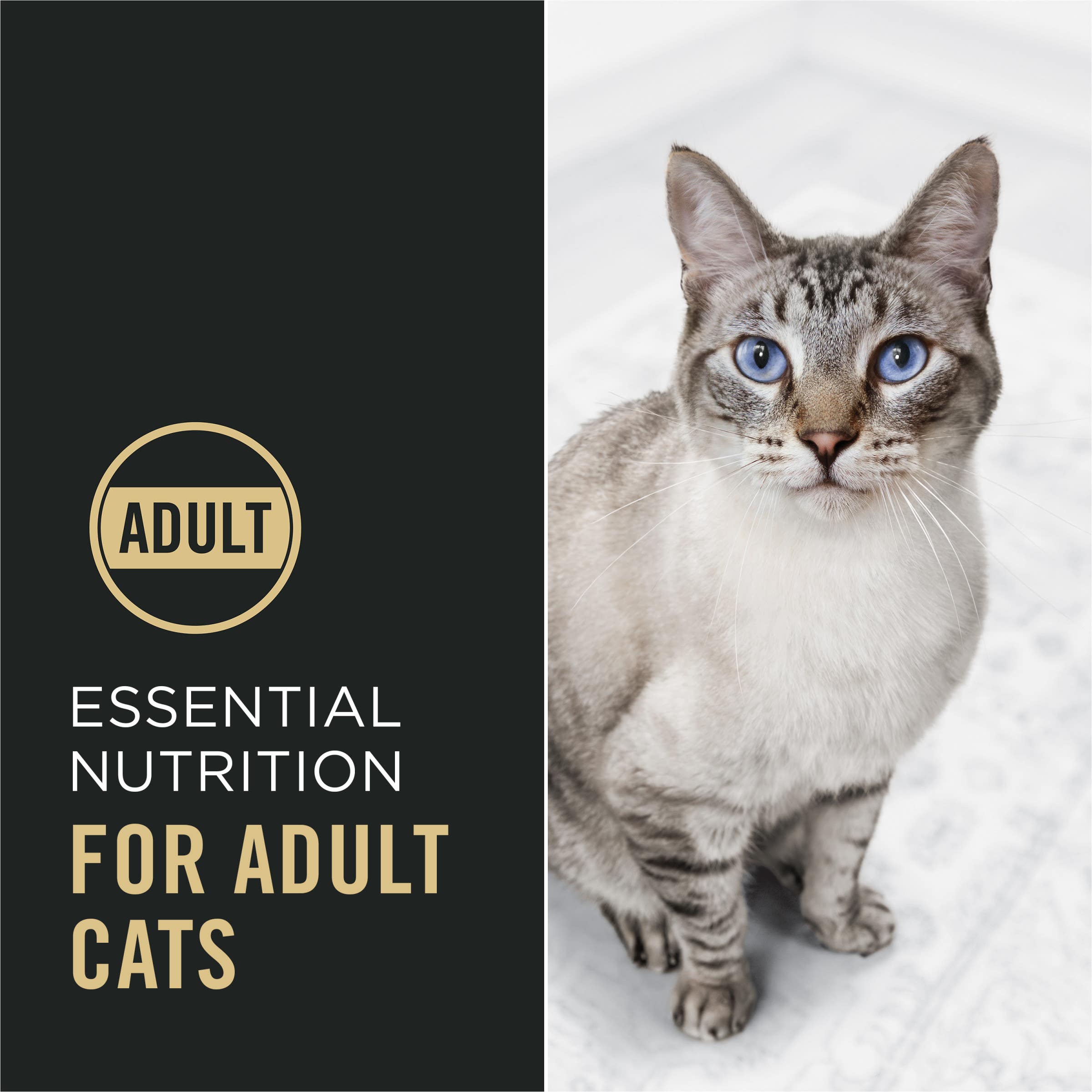 Purina Pro Plan Adult 7+ Complete Essentials Chicken & Rice Formula Dry Cat Food, 7 lb Bag