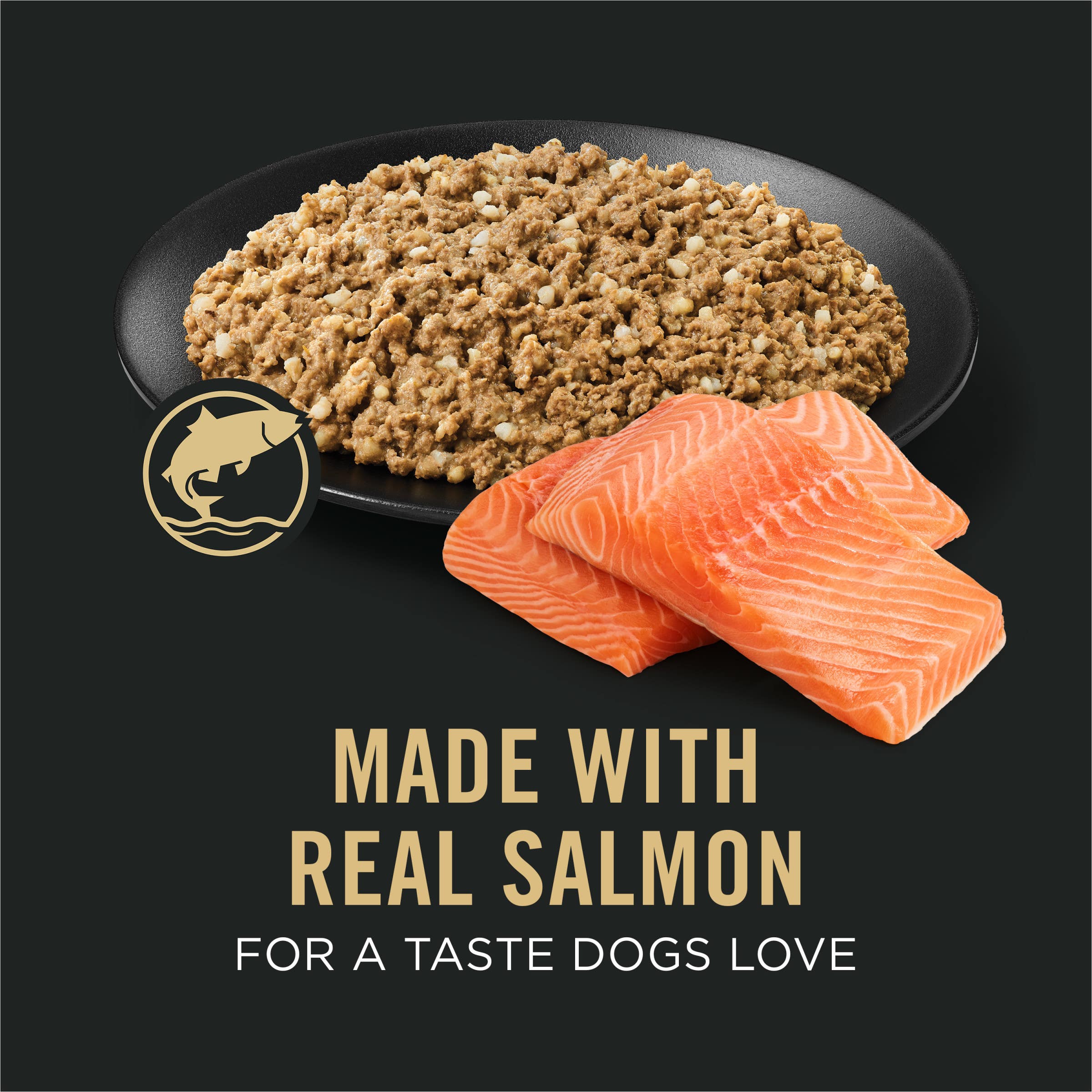 Pro Plan Sensitive Skin & Stomach Salmon & Rice Entrée Classic Wet Dog Food, 13 oz