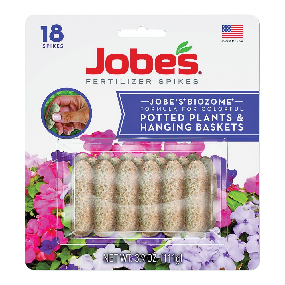 Jobes Roller Chain Box Box