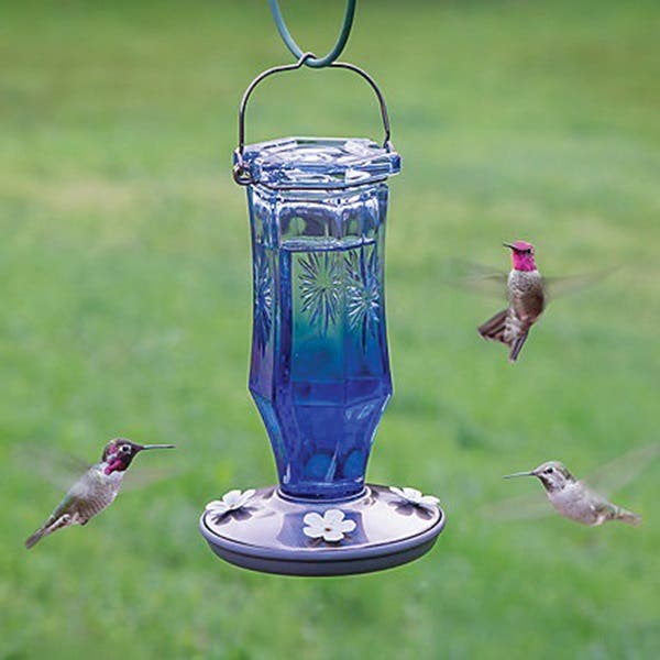 Perky-Pet Bird Feeder, Sapphire Starburst Vintage, 16 oz, 4-Port/Perch, Glass, Blue, 8-1/2 in H