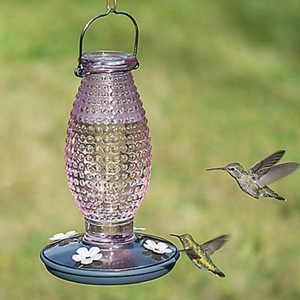 Perky-Pet Bird Feeder, Hobnail Vintage, 16 oz, 4-Port/Perch, Glass, Pale Cranberry, 10-1/4 in H