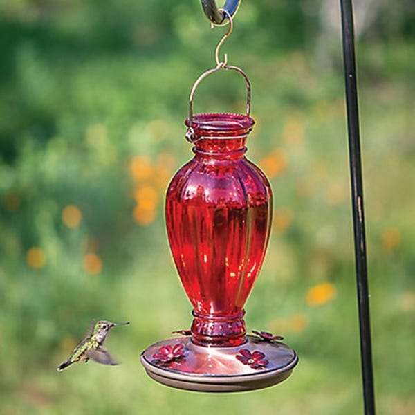 Perky-Pet Bird Feeder, Daisy Vase Vintage, 18 oz, 4-Port/Perch, Glass, Red, 12.7 in H