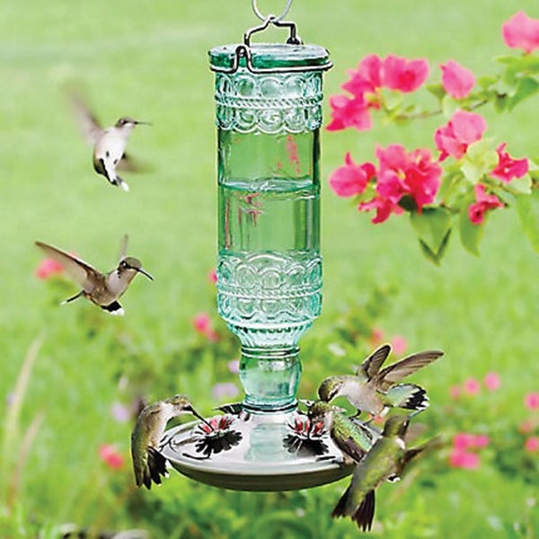 Perky-Pet Bird Feeder, Antique Bottle, 10 oz, 4-Port/Perch, Glass/Metal, Green, 10 in H