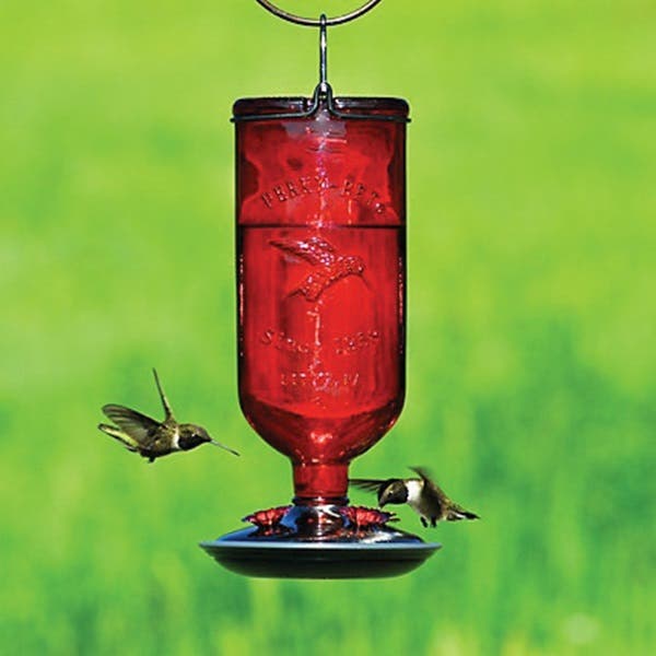 Perky-Pet Bird Feeder, 16 oz, 4-Port/Perch, Glass/Metal, Red, 10.6 in H