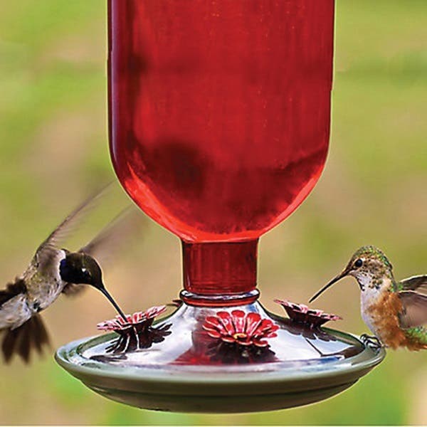 Perky-Pet Bird Feeder, 16 oz, 4-Port/Perch, Glass/Metal, Red, 10.6 in H