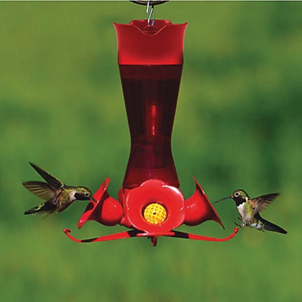 Perky-Pet Bird Feeder, 8 oz, 4-Port/Perch, Plastic, Red, 9-1/2 in H