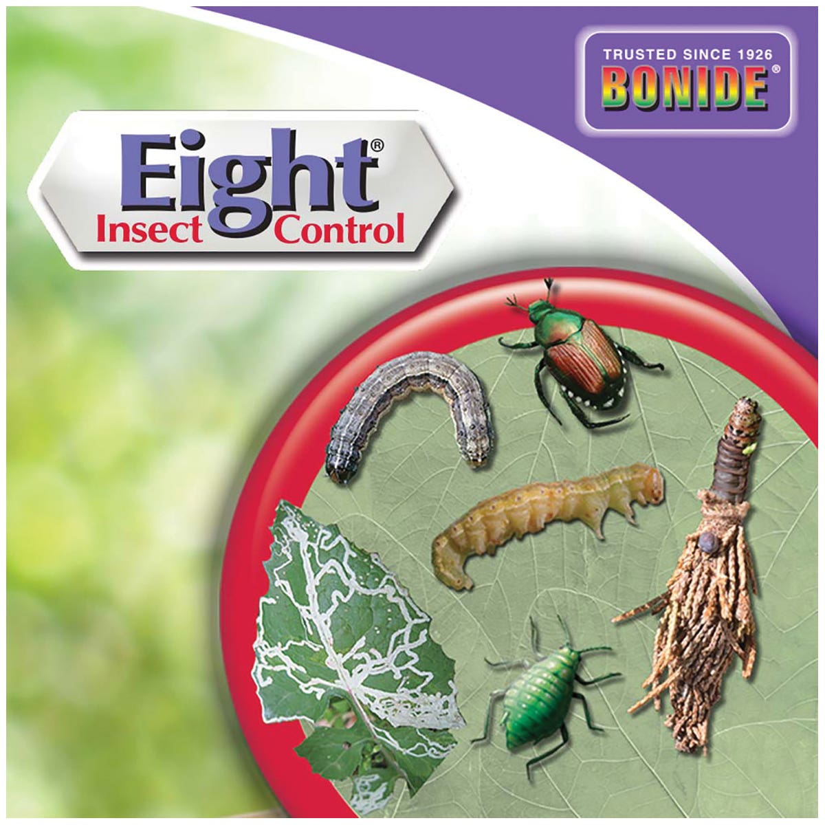 Bonide Eight 442 Insect Control, Liquid, Spray Application, 1 pt Bottle