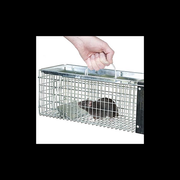 Victor Cage Trap, 6 in W, 6 in H
