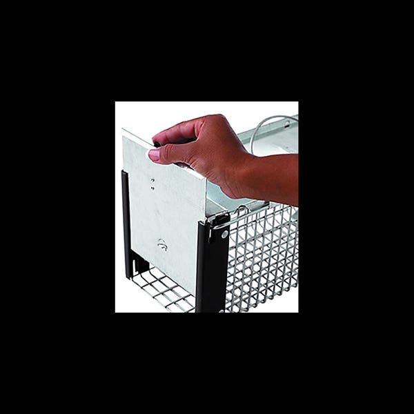 Victor Cage Trap, 6 in W, 6 in H