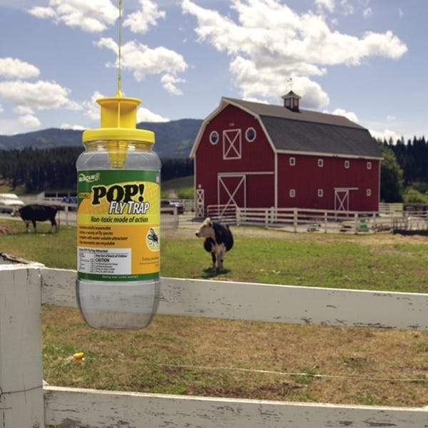 Rescue POP! Fly Trap Refill Pack