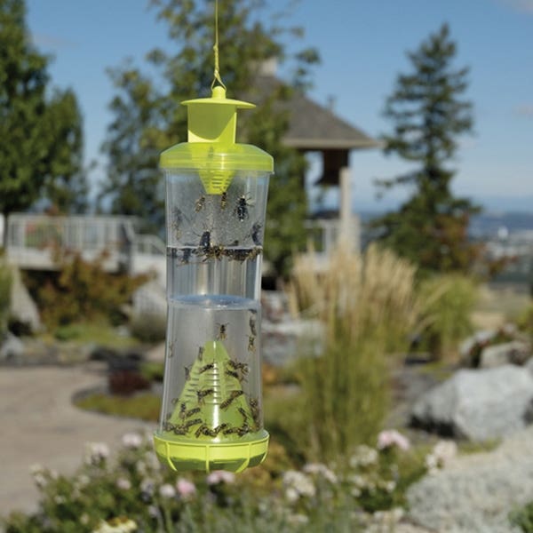 Rescue WHY Fly Trap Attractant System