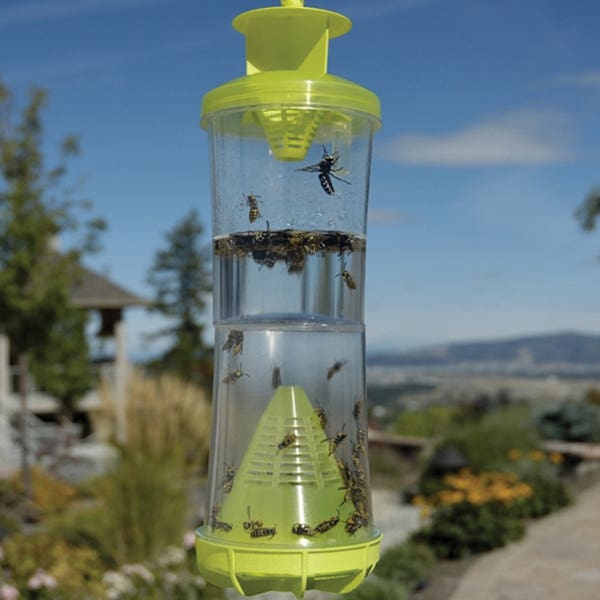 Rescue WHY Fly Trap Attractant System