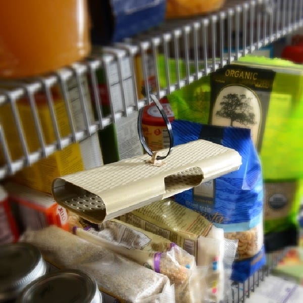 Rescue Pantry and Birdseed Moth Trap