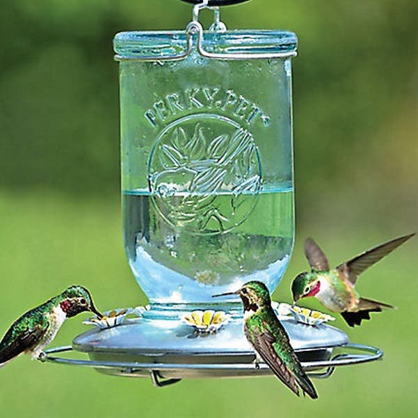Perky-Pet Bird Feeder, 32 oz, 5-Port/Perch, Glass, Blue, 7-1/2 in H