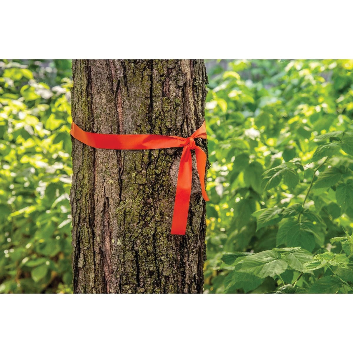 CH Hanson Fluorescent Orange Flagging Tape 150 ft