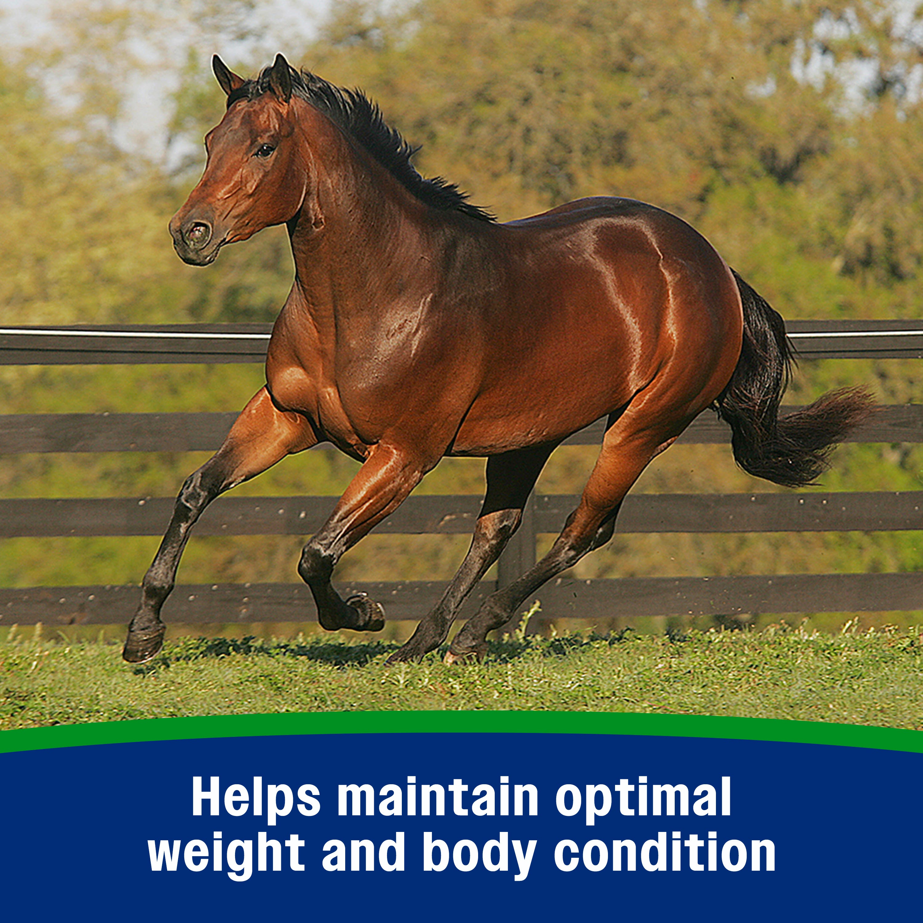 Farnam Weight Builder Equine Supplement 22.5 lb