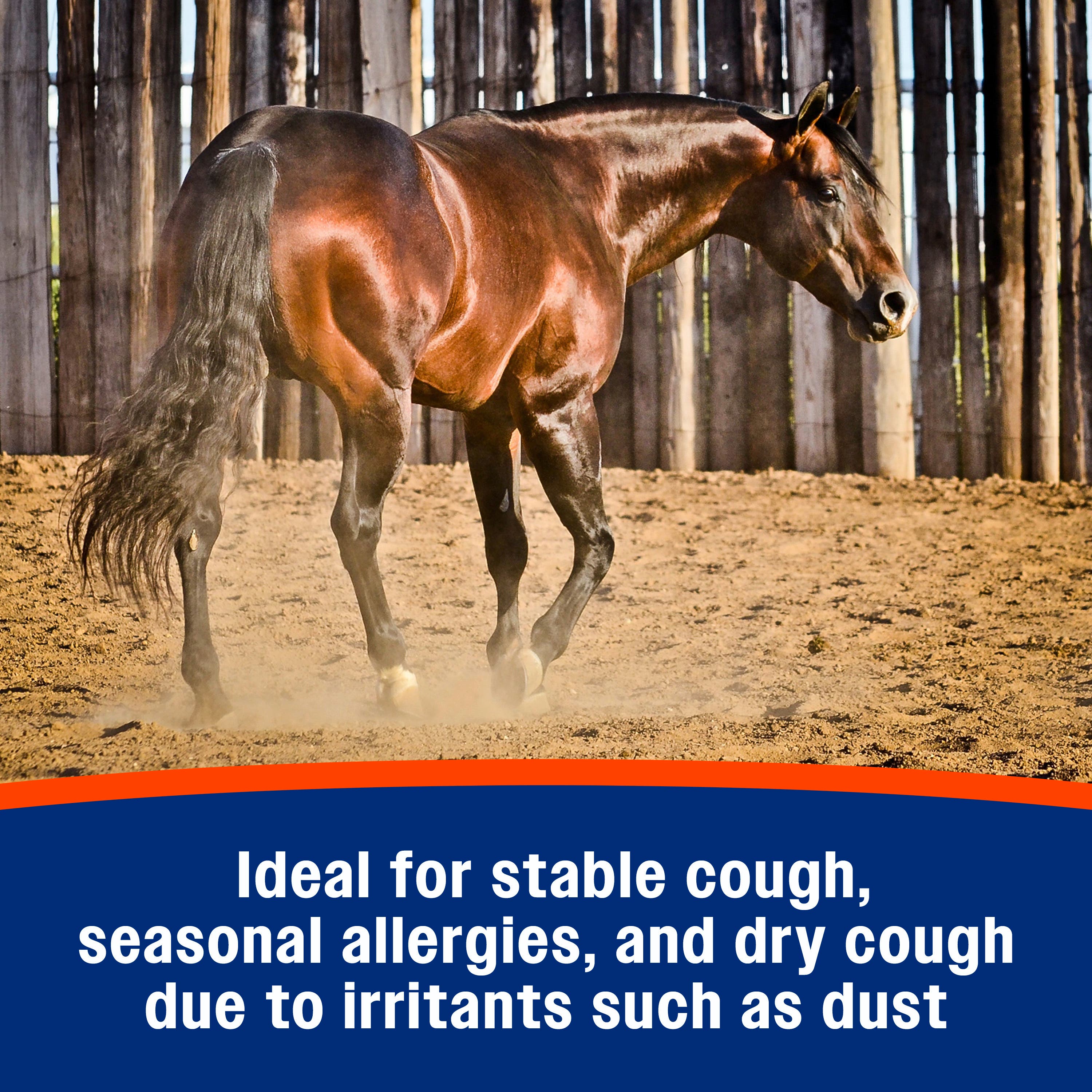 Farnam Cough Free Pellets Respiratory Health Supplement for Horses 1.75 lb
