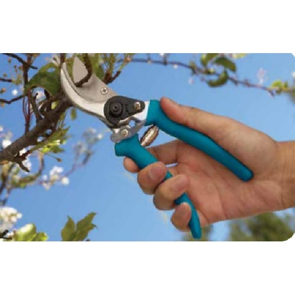 Bloom Bypass Pruner 8 in