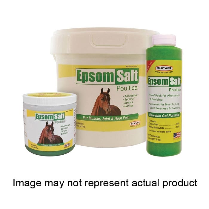 Durvet 001-0691 Epsom Salt Poultice, Paste, 20 oz Bottle