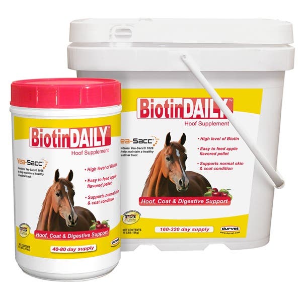 Durvet Horse Hoof Supplement Pellet Apple Flavor 2.5 lb Jar