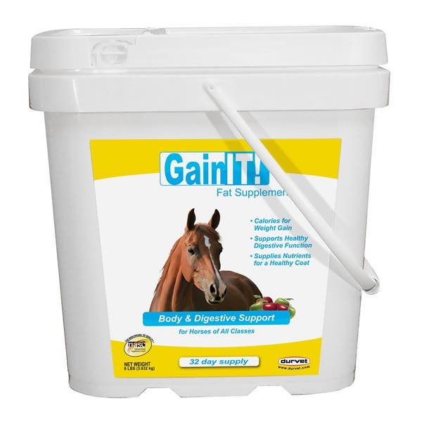 Durvet GainIT Horse Supplement Powder Apple Flavor 8 lb Pail