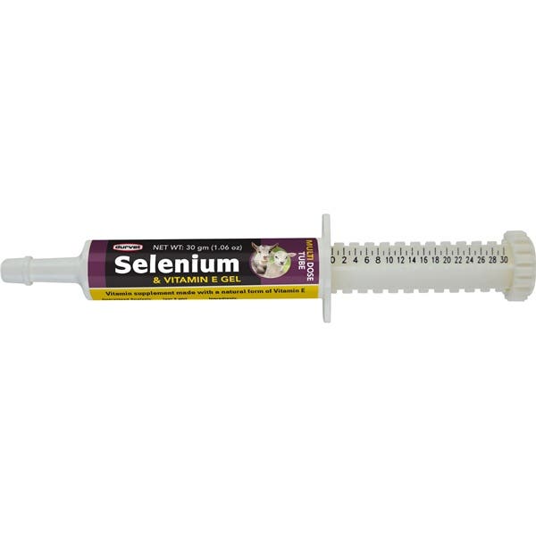 Durvet Selenium and Vitamin E Gel Paste Butterscotch Flavor 80 g Syringe