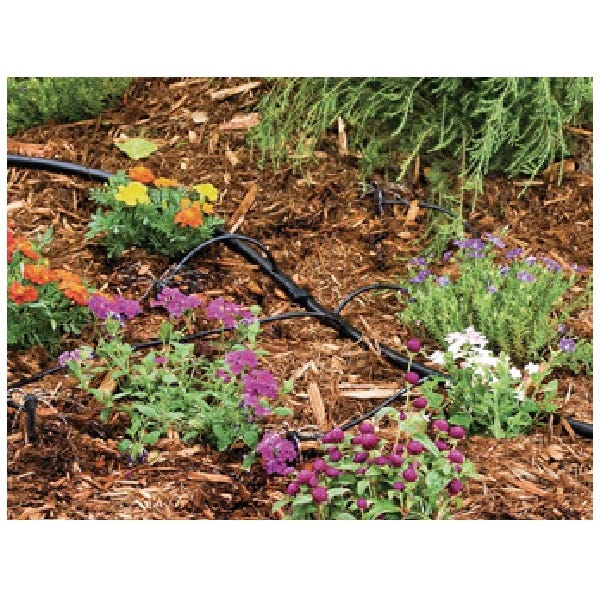 DIG Micro Tubing, 0.156 in ID, 50 ft L, 1/4 in Barb, Vinyl, Black