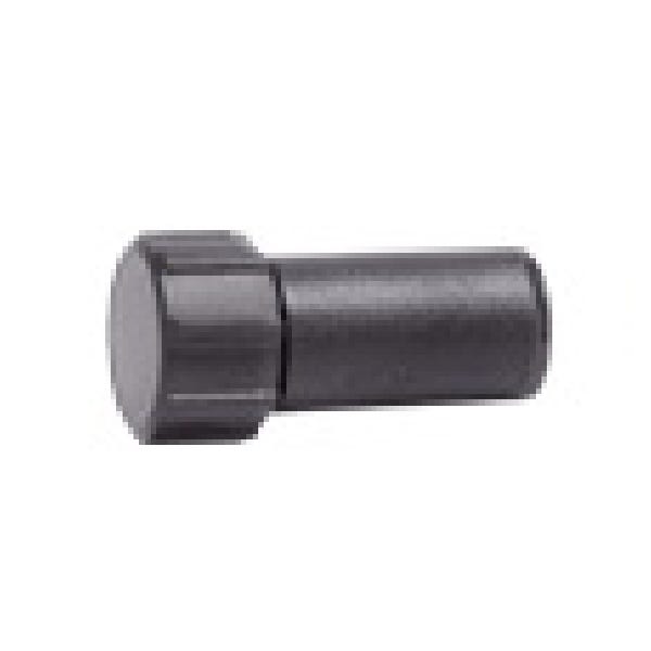 DIG Compression End Cap 1/2 in