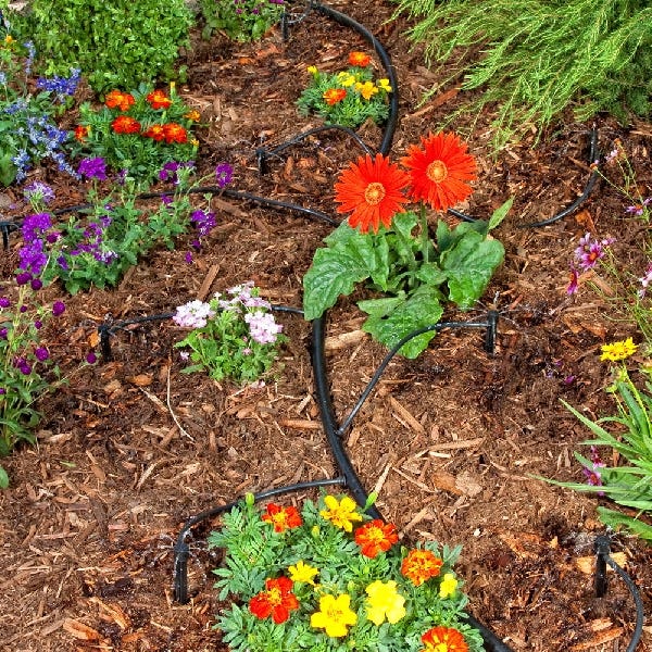 DIG Drip Tubing, 0.6 in ID, 500 ft L, 1/2 in Compression, Polyethylene, Black