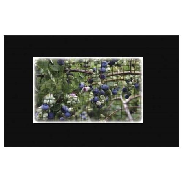 Dalen Bird-X Bird Netting 14 ft x 14 ft