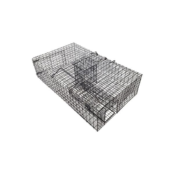 CatchMor Ratinator, 15 in L, 25 in W, 6-1/2 in H