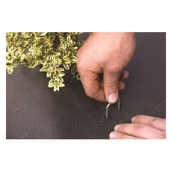 DeWitt Steel Anchor Pin 6 in