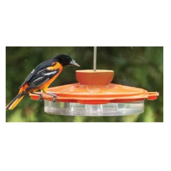 Audubon Bird Feeder, Classic, 16 oz Nectar, 3 oz Jelly, 1 Orange Half, Fruits, Jelly, Nectar, 8-Port/Perch