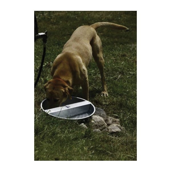 Miller PW13 Full Pet Bowl, 13 qt Volume