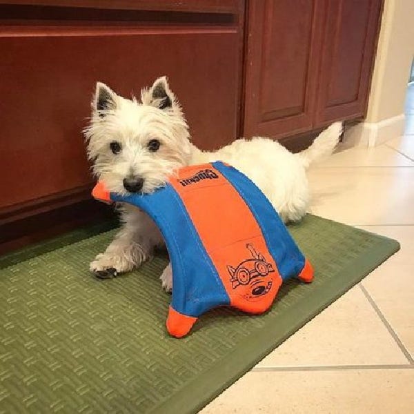Chuckit! Dog Toy, S, Blue/Orange