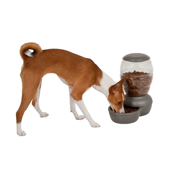 PETMATE Replendish Gravity Feeder with Microban, XS, Pearl Peacock Blue