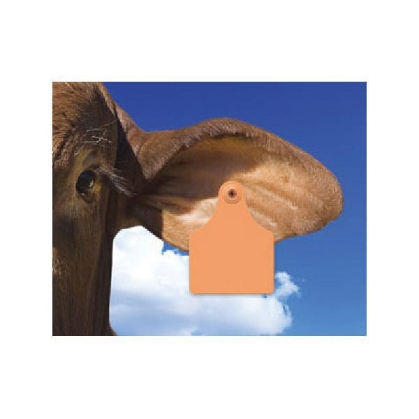 Allflex GXF150/GSM-B Female/Male Ear Tag, Maxi, 4 in L, 3 in W, 126 to 150, Polyurethane, Blue