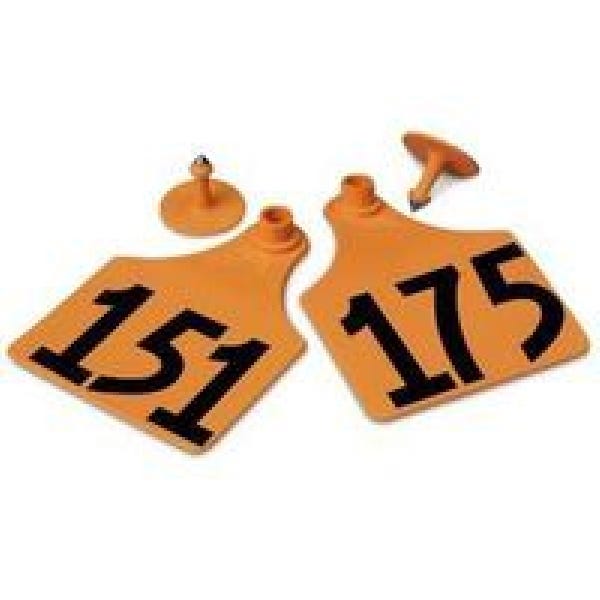 Allflex GXF175/GSM-O Female/Male Ear Tag, Maxi, 4 in L, 3 in W, 151 to 175, Polyurethane, Orange