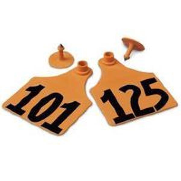 Allflex GXF125/GSM-O Female/Male Ear Tag, Maxi, 4 in L, 3 in W, 101 to 125, Polyurethane, Orange