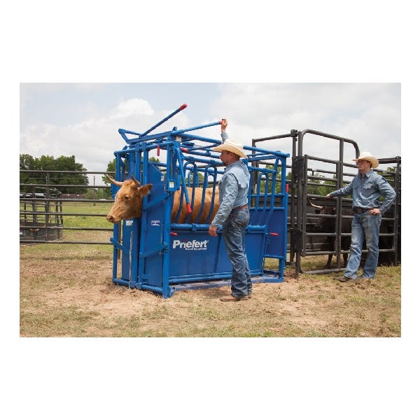 Priefert Economy Chute with HG91