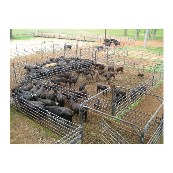Priefert Free Swing Gate 10 ft Premier