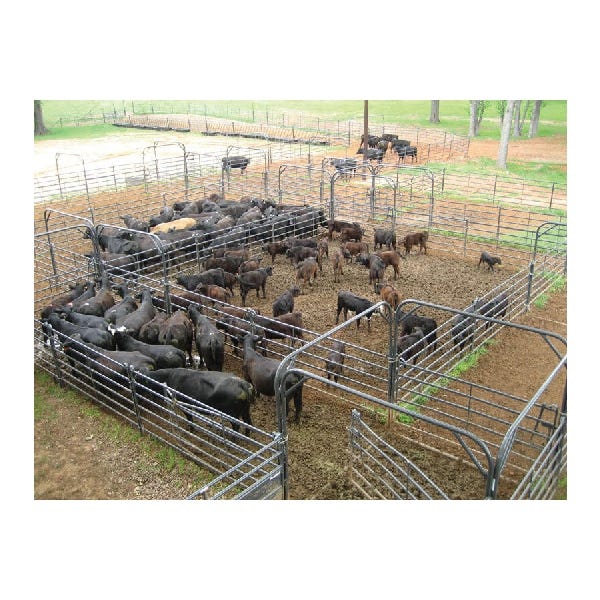 Priefert Premier Bow Gate 6 ft × 9 ft - 25704