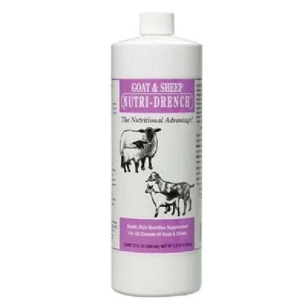 Nutri-Drench I-PT DUAL GS Sheep Supplement, 16 oz Bottle