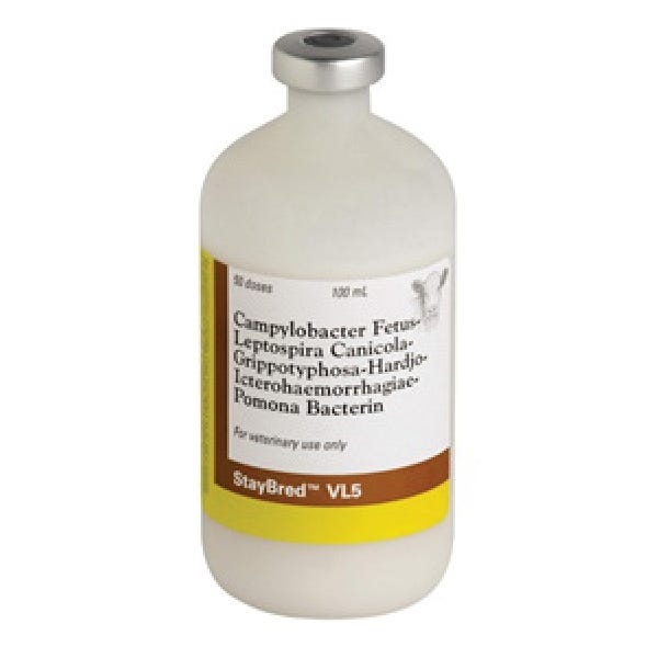 STAYBRED 10000400 Vaccine, 50 ds, 100 ml