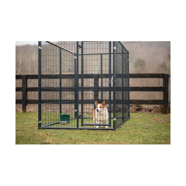 Tarter DKFMDB5 Kennel Front with Door Blue E?Coated Steel