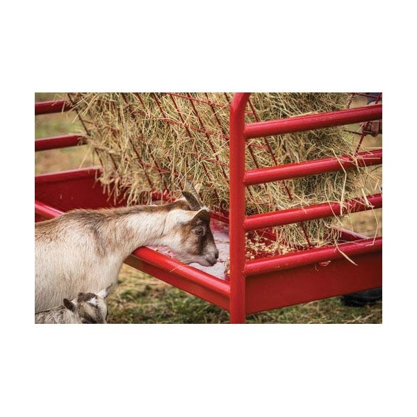 Tarter DTSAF DuraTough Animal Feeder 2 gal Red E?Coated Steel